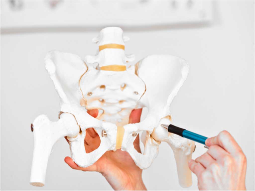 Hip Fracture Surgery in North Hollywood, Los Angeles & Echo Park - Urgent Orthopaedic Care